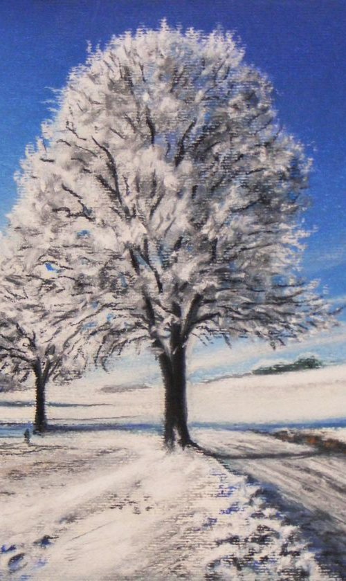 "Path in the snow" by Ivan  Grozdanovski