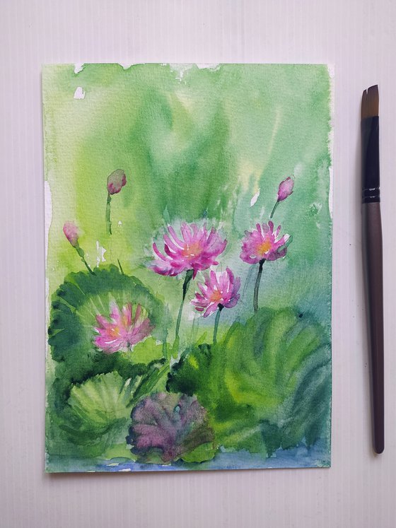 Pink Water Lilies Sl. No 16