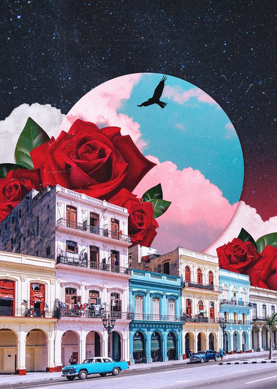 Cuba&Roses