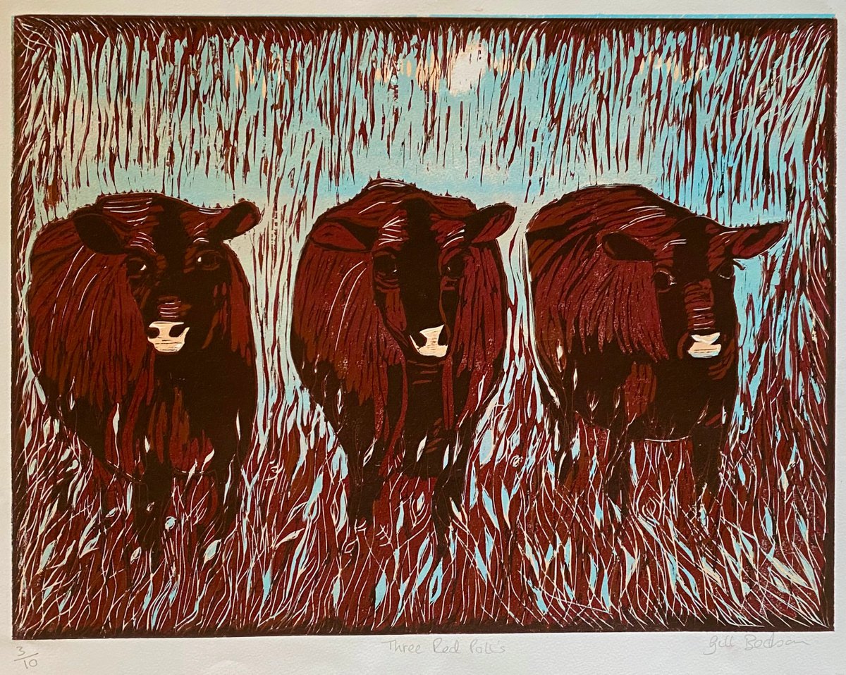 Three Red Polls by Gill Bedson