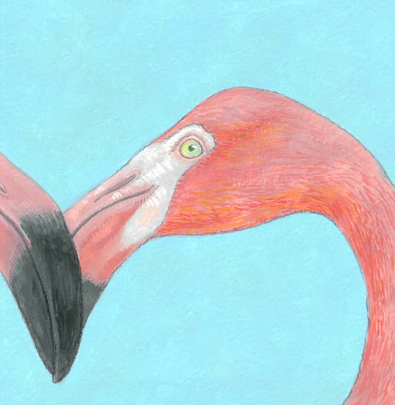 Flamingo kiss