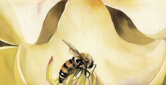 Beauty and the bees