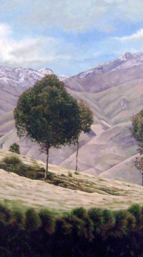 Árboles En Tigua by Marcelo Villacrés