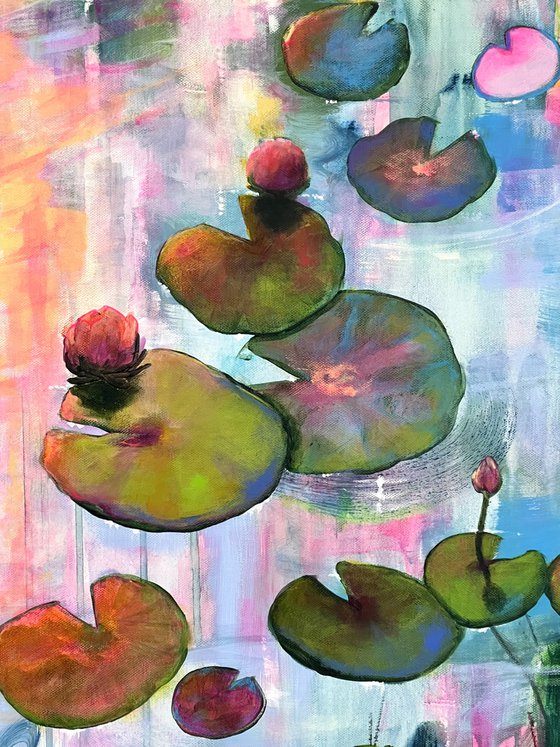 Always Waterlilies 7