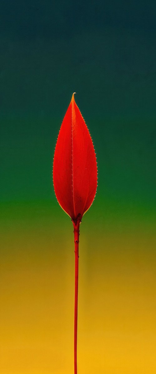 Floral Expressionism VIII by Richard Gibson