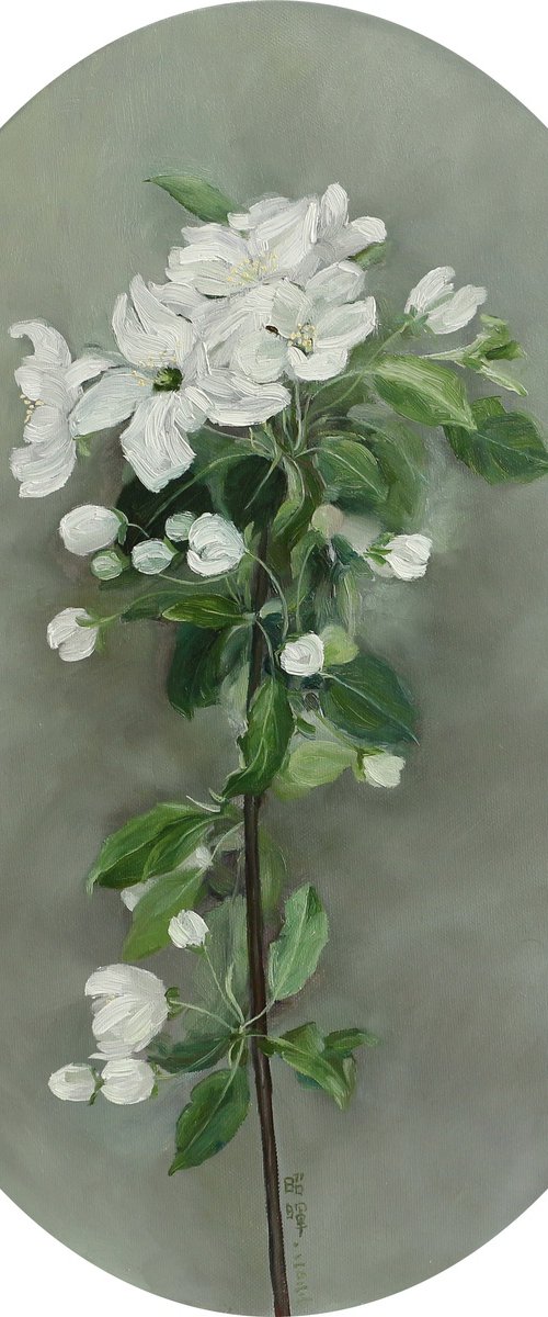 pear flower blossom No.2 by Zhao Hui Yang