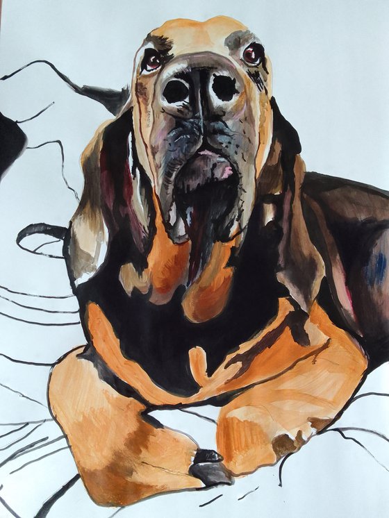 Bloodhound