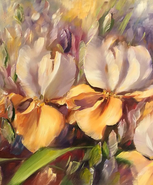 Iris by Diana Malivani