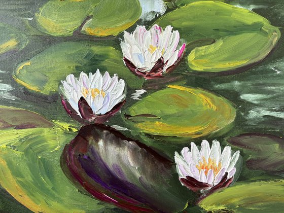 Serenity of Water Lilies