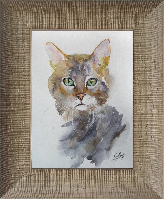 Observant Cat
