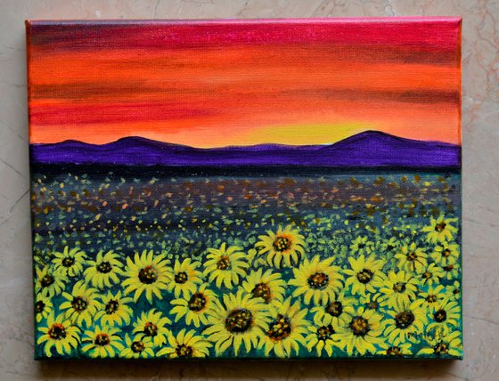 Sunflower fields at sunset landscape