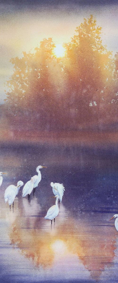 Flock of Great White Egret by Olga Beliaeva Watercolour