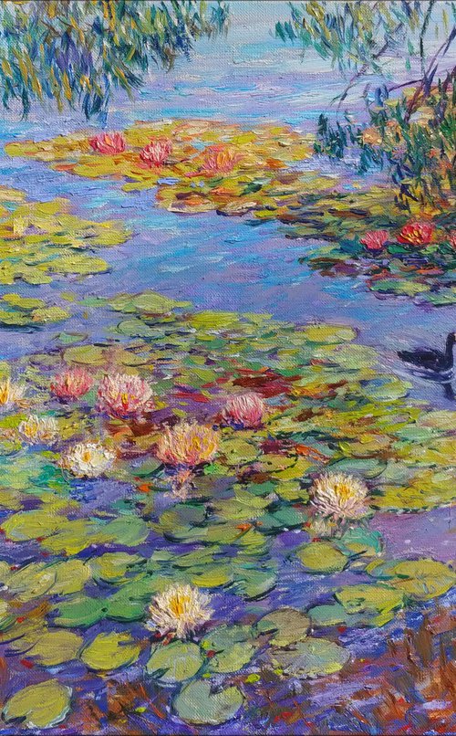 Nymphaeums are enveloped in the sun. by Svitlana Gunchenko