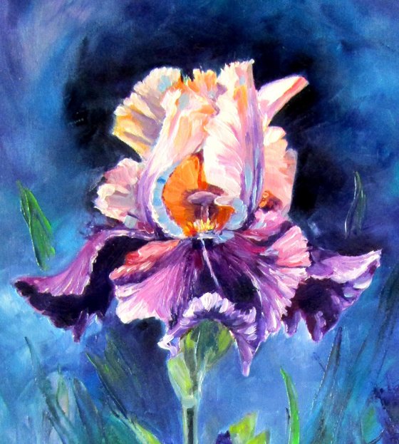 Purple lily