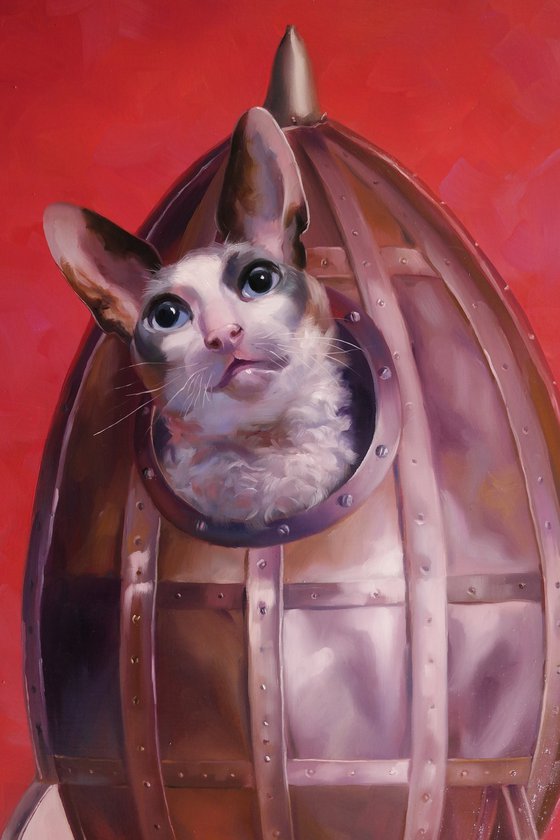 "Space Cat"