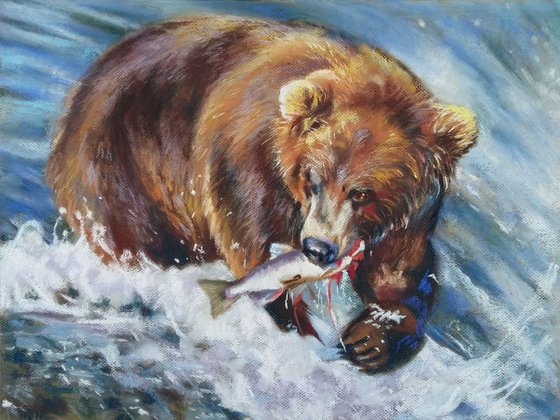 Grizzly bear