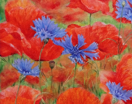 Poppies with cornflowers.