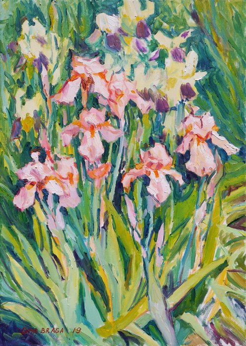 Irises blooming (plein air) original painting by Dima Braga