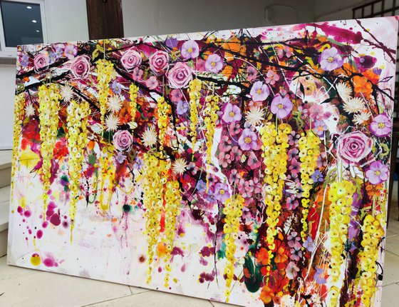 Study in Luminous Gravity