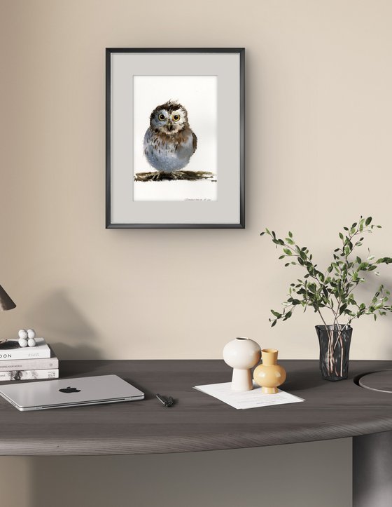 Little owl on a branch #17