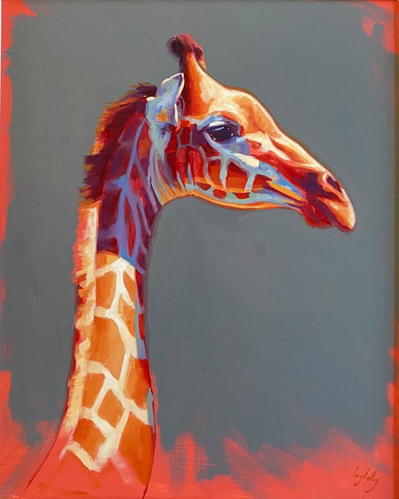 Giraffe in evening sun