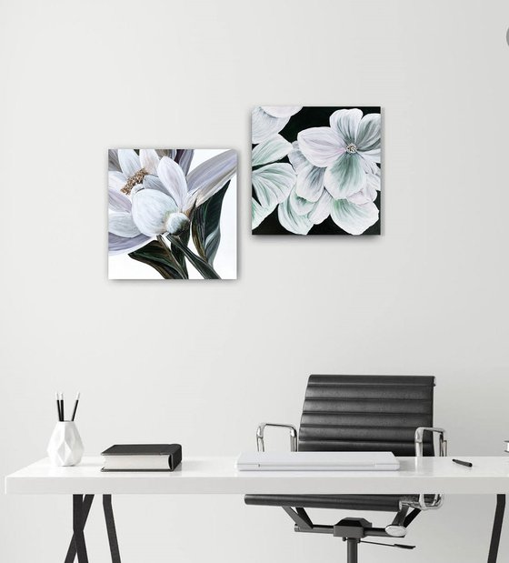 Magnolia white petals Flowers set