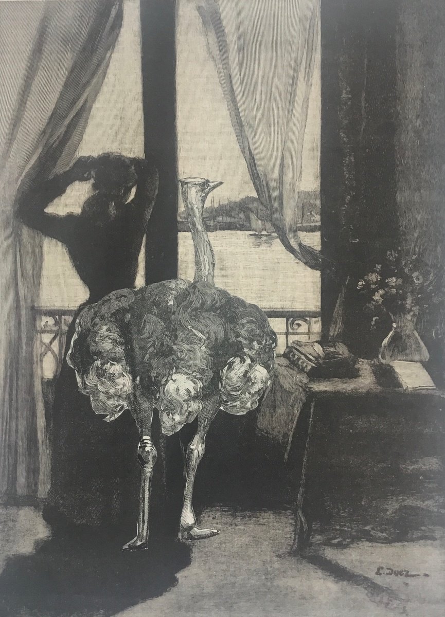 Surrealistic Animal Collage By Tudor Evans, 6 X 9", A Companion, Original Artwork