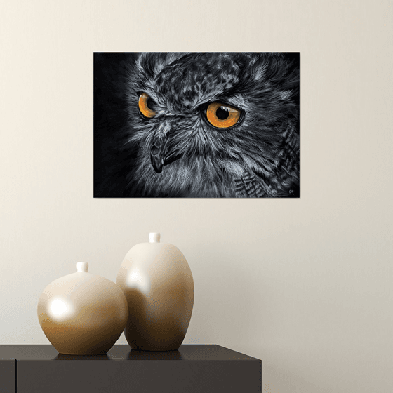 EAGLE OWL Limited Edition A3 Print