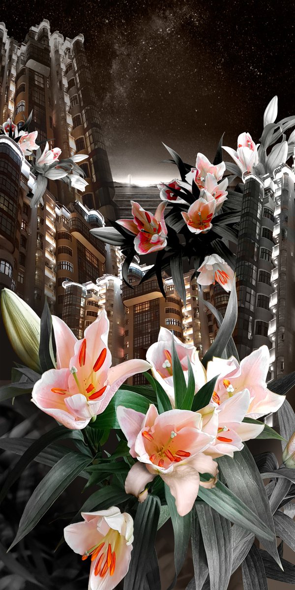 City flowers - photo collage, digital print by Elena Smurova