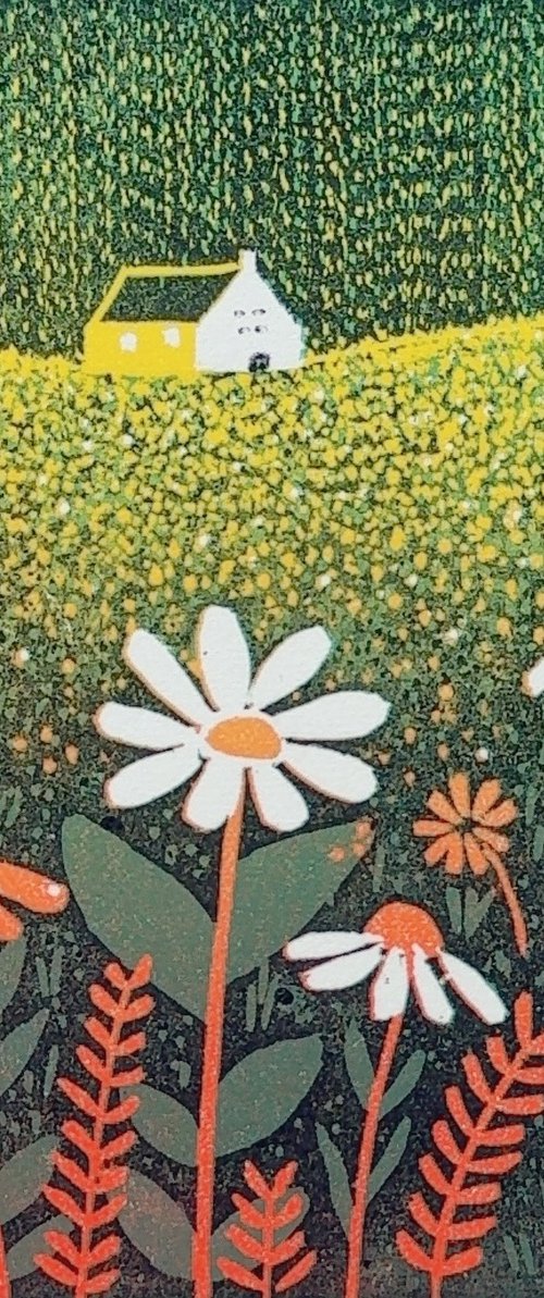 "Fields of Colours' by Layla Khani (aka Laylart)