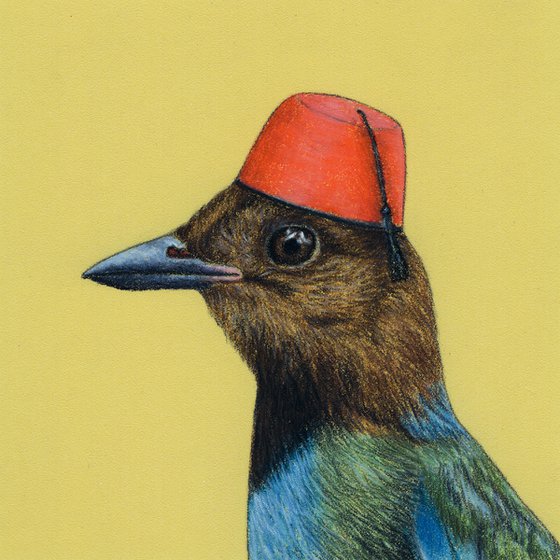 Original pastel drawing bird "Philippine pitta"