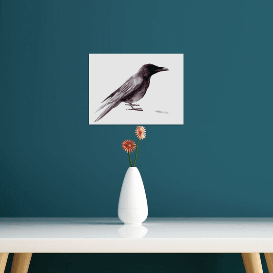Crow