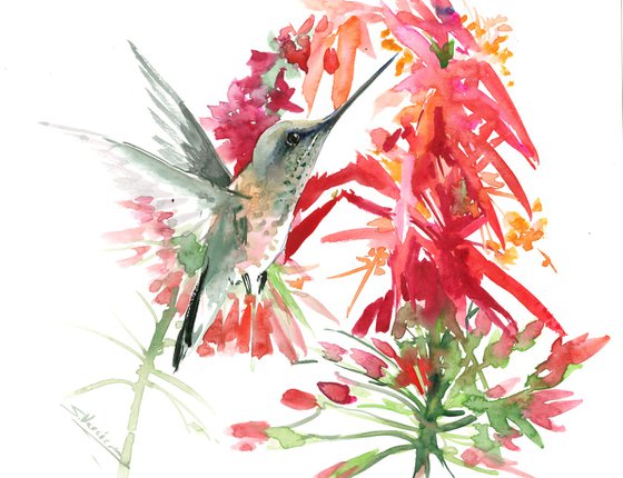 Hummingbird and red flowers