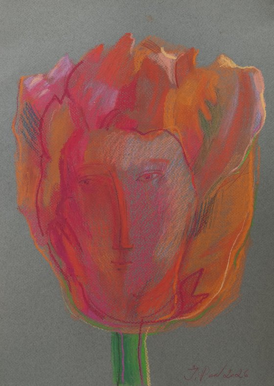 Tulip