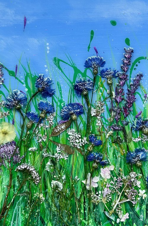 Wild Blooms by Jill Aspin