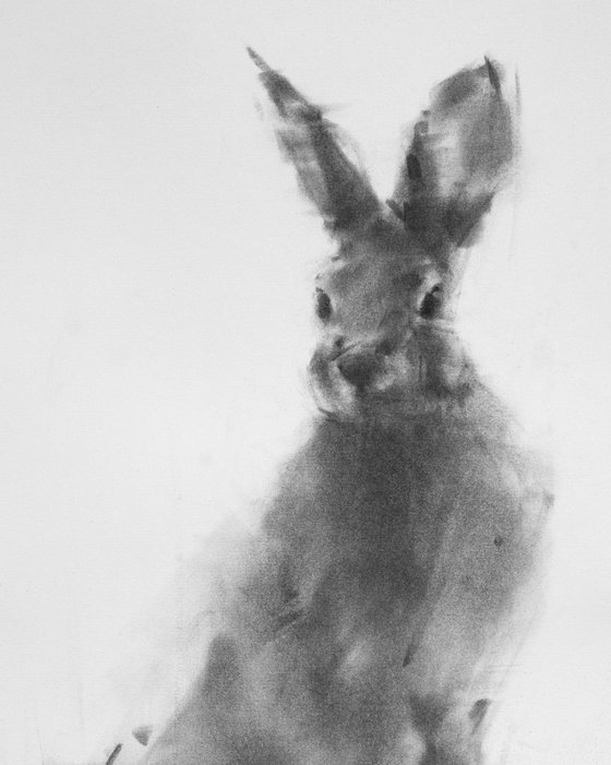 Hare No 4