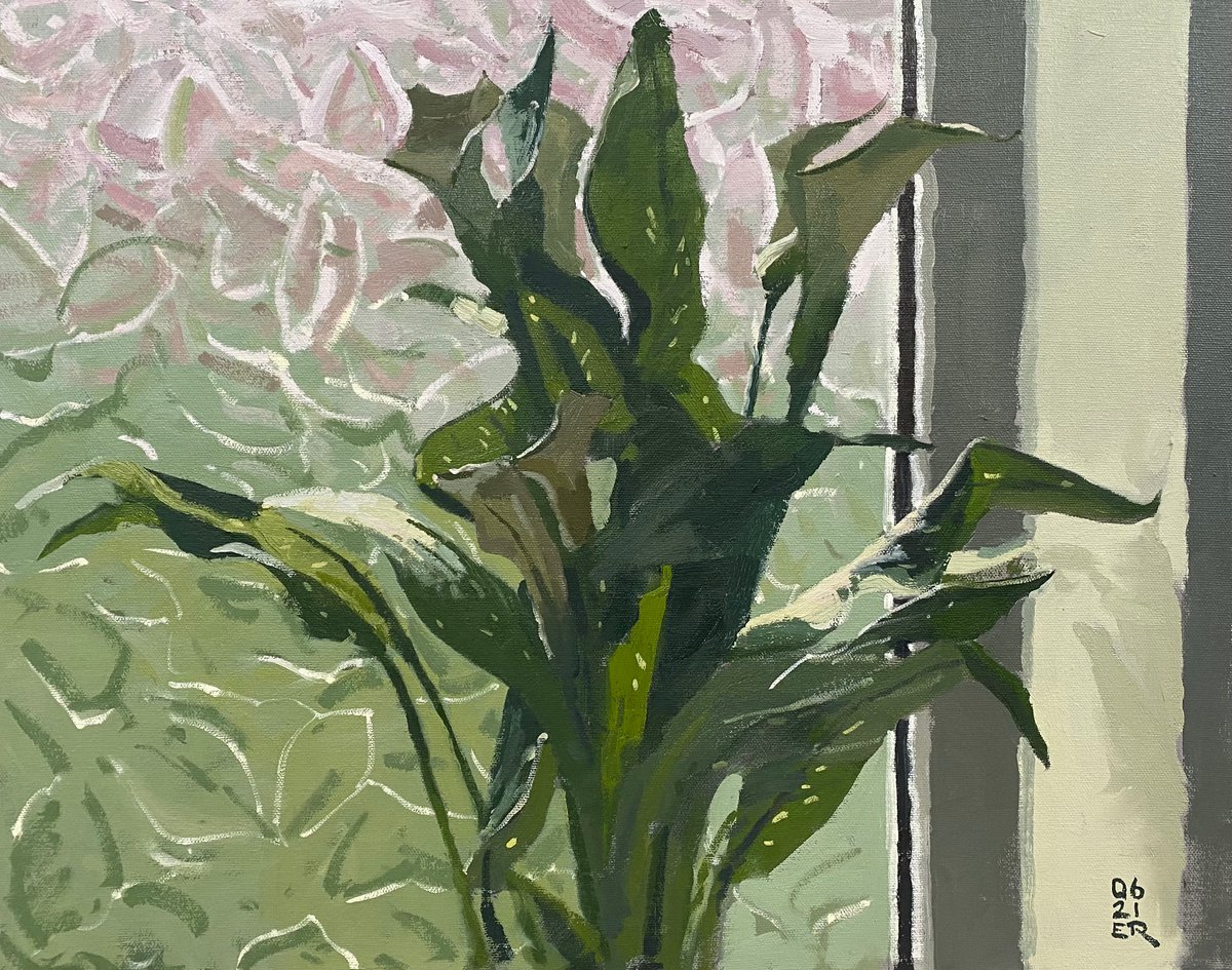 Calla Lily in Strong Window Light by Elliot Roworth
