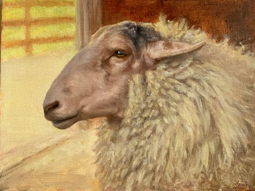 "The Old Sheep" Original Realist Painting by Yana Golikova by Yana  Golikova