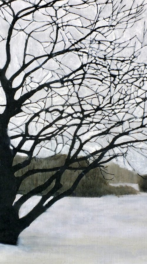 Winter Landscape (7) by Michael B. Sky