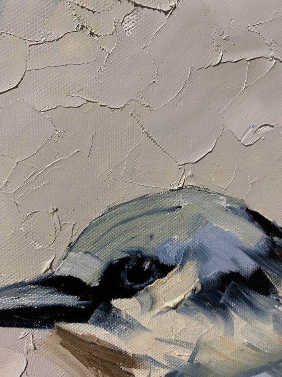 Quiet Observer. The Eurasian Nuthatch.