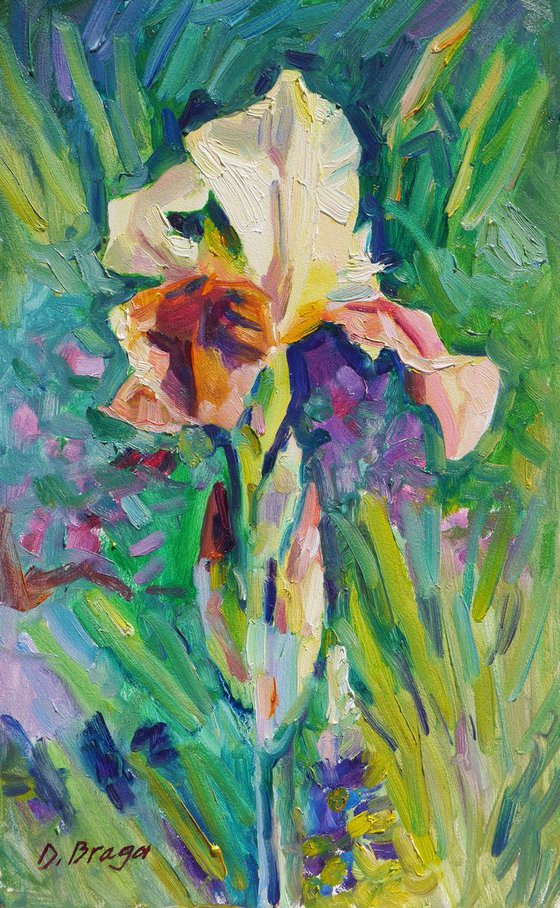 Iris, etude (plein air)