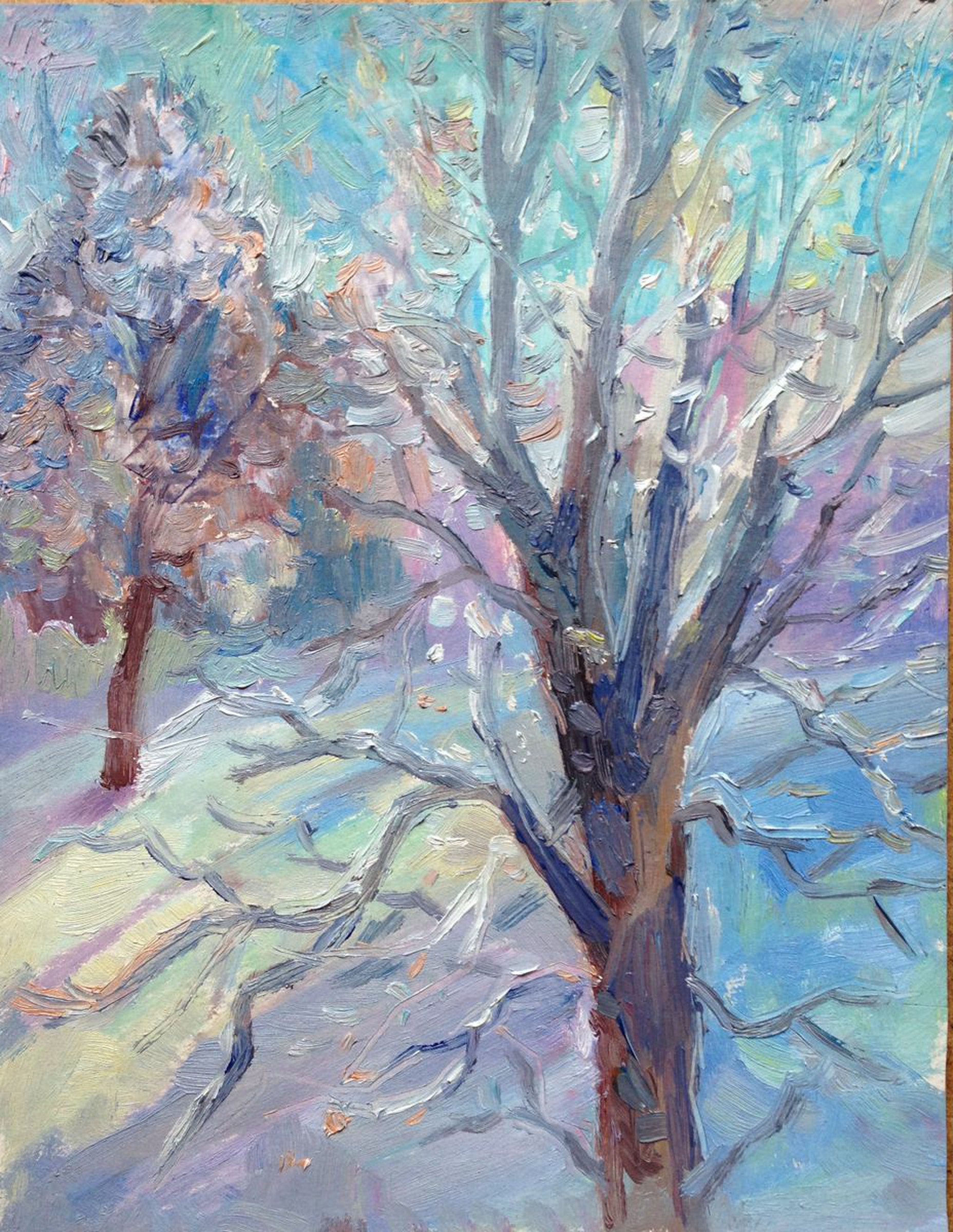 Winter Sunny Day White Hoar Frost Artfinder