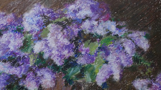 Spring Bouquets Of The Fragrant Lilacs - Lilacs drawing