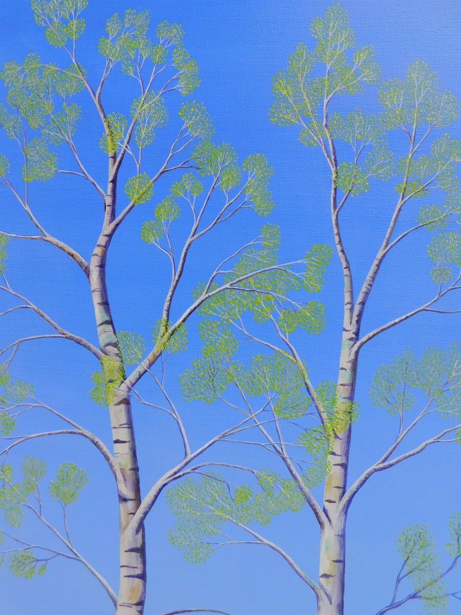 Oil Painting , Silver Birch Trees In Spring By Ruth Cowell, 18 X 24, Artwork For Sale On Artfinder