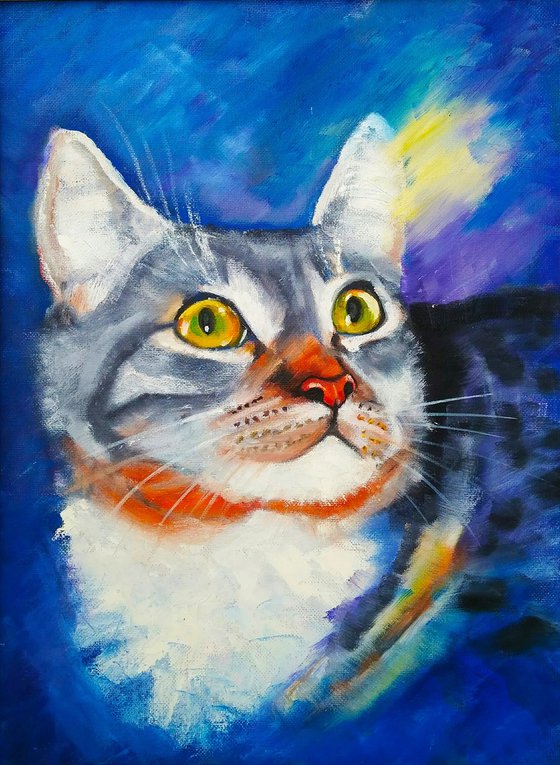 A cat catching sunbeams