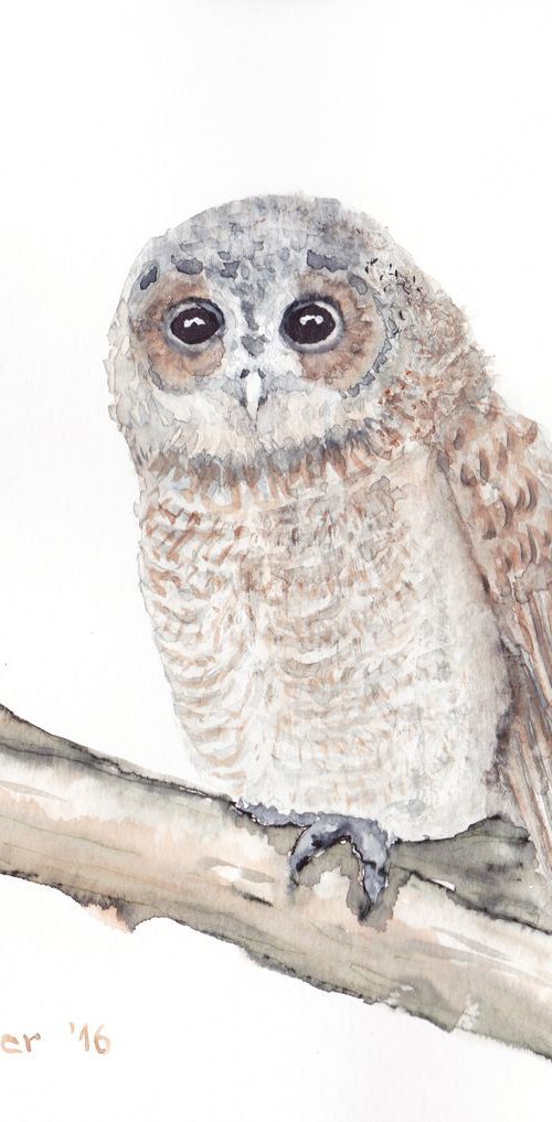 Watercolour birds portraits... by Yulia Schuster