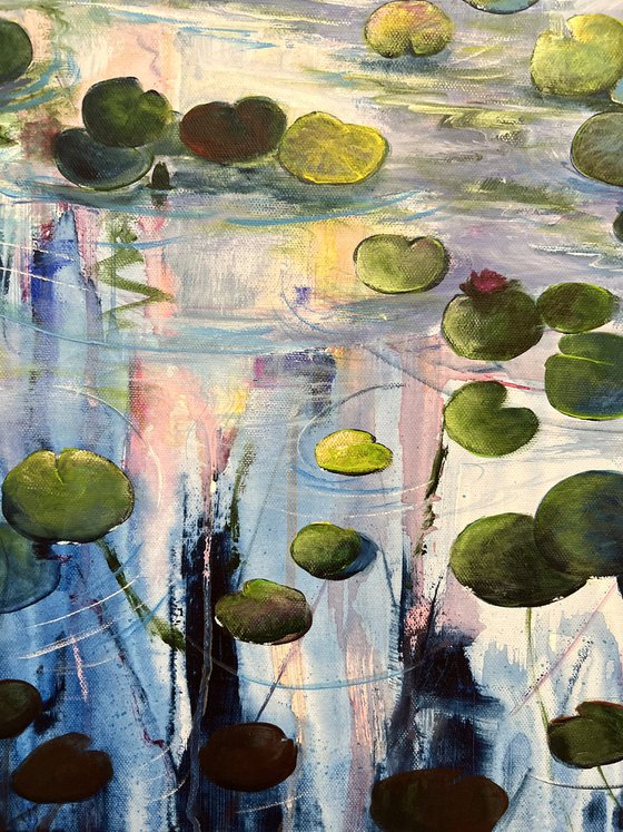 Water Lilies At Sunset 1