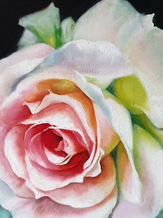 "Young beauty"  rose flower macro  original painting  GIFT (2018)