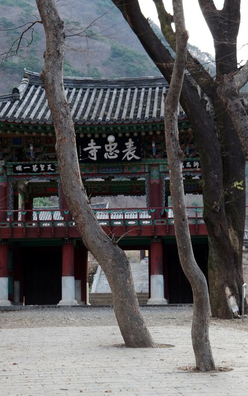 Bare Trees Before the Winter Gate by sangwon jeon