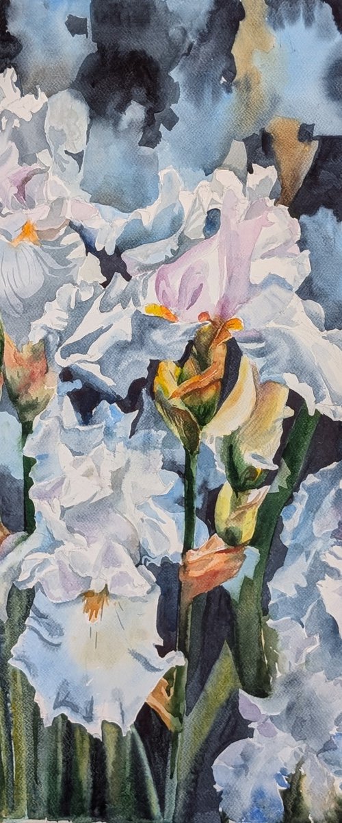 WHITE IRISES #6 by Yurii Pashkov